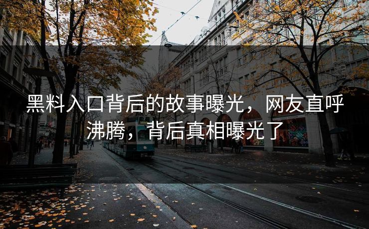 黑料入口背后的故事曝光，网友直呼沸腾，背后真相曝光了  第1张