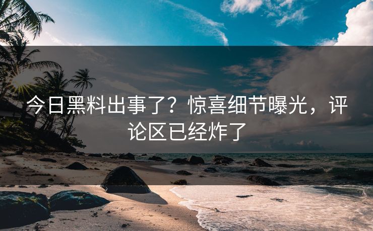 今日黑料出事了？惊喜细节曝光，评论区已经炸了  第1张