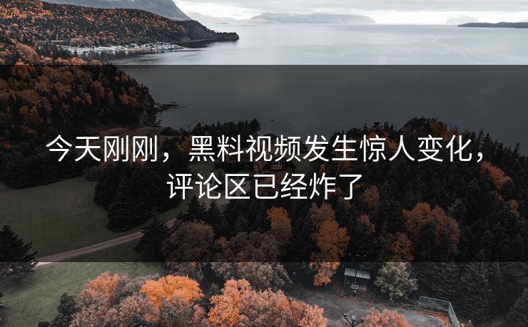 今天刚刚，黑料视频发生惊人变化，评论区已经炸了  第1张