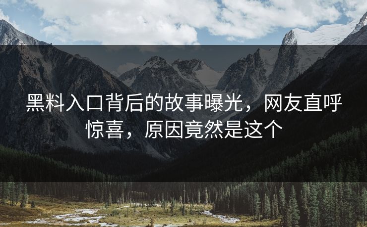 黑料入口背后的故事曝光，网友直呼惊喜，原因竟然是这个