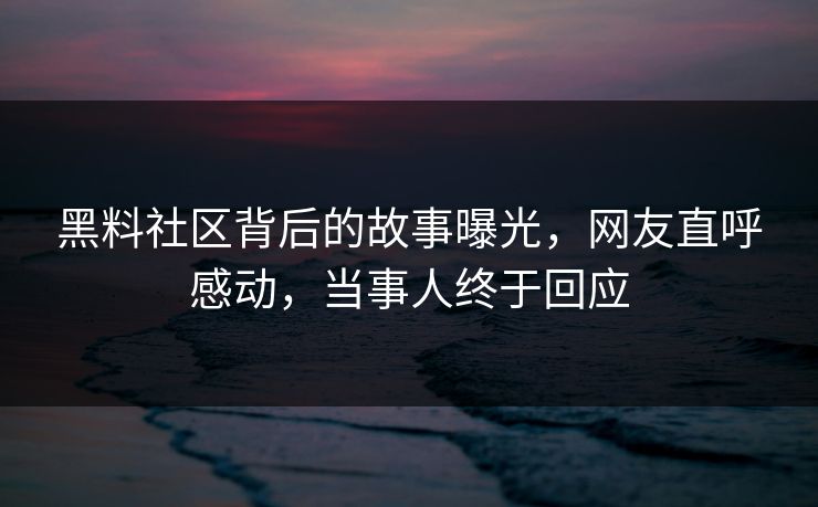 黑料社区背后的故事曝光，网友直呼感动，当事人终于回应