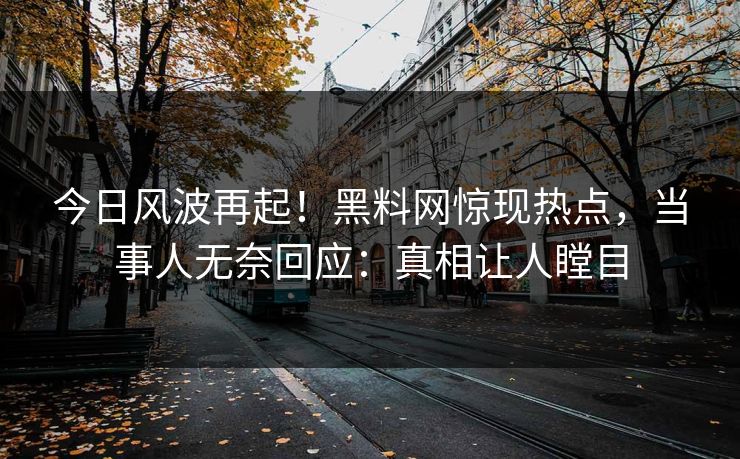 今日风波再起！黑料网惊现热点，当事人无奈回应：真相让人瞠目