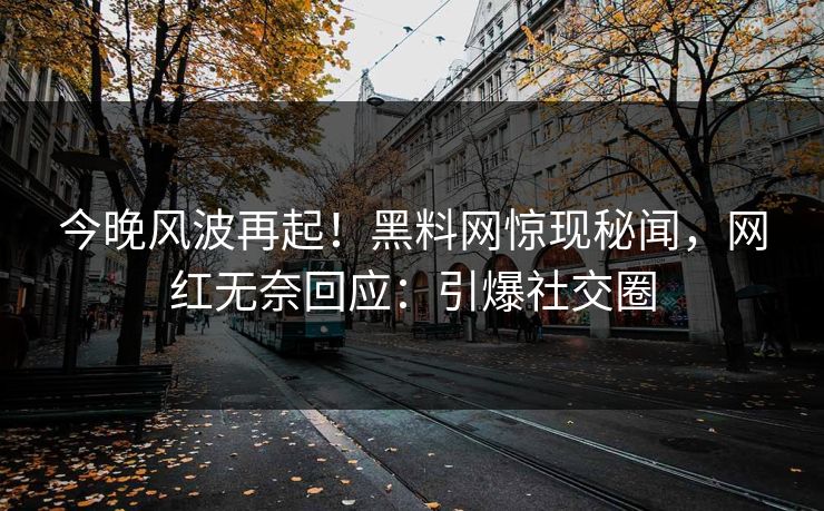 今晚风波再起！黑料网惊现秘闻，网红无奈回应：引爆社交圈  第1张