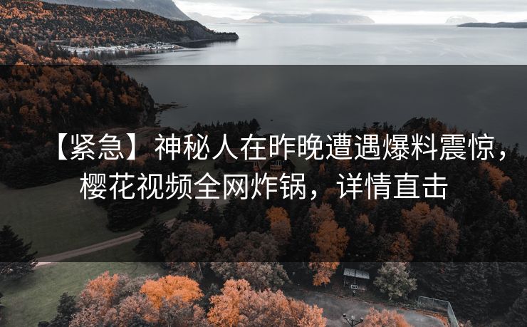 【紧急】神秘人在昨晚遭遇爆料震惊，樱花视频全网炸锅，详情直击  第1张