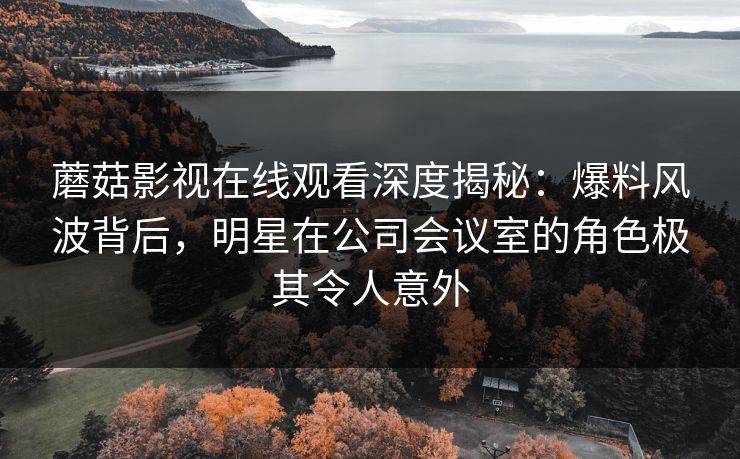 蘑菇影视在线观看深度揭秘：爆料风波背后，明星在公司会议室的角色极其令人意外