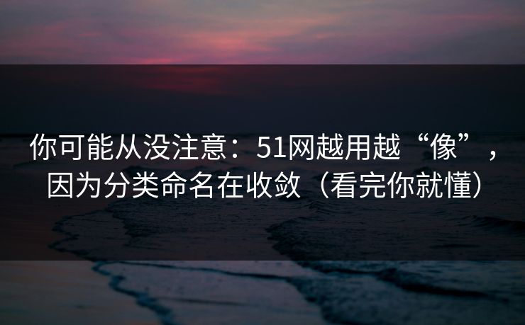 你可能从没注意:51网越用越“像”,因为分类命名在收敛(看完你就懂) 你可能从没注意:51网越用越“像”,因为分类命名在收敛(看完你就懂)