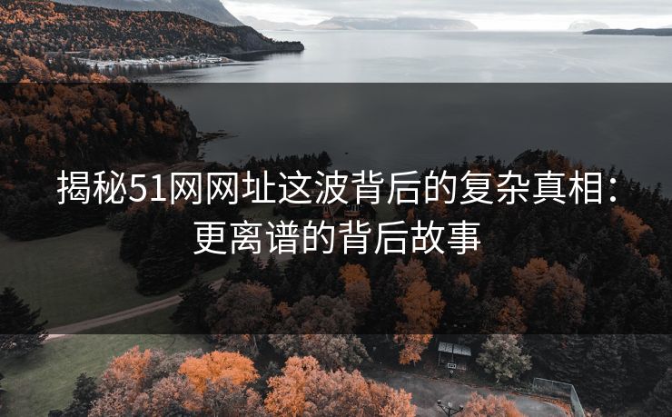 揭秘51网网址这波背后的复杂真相：更离谱的背后故事